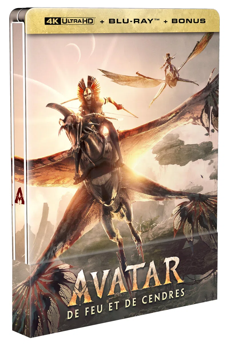 Avatar : De Feu et de cendres
