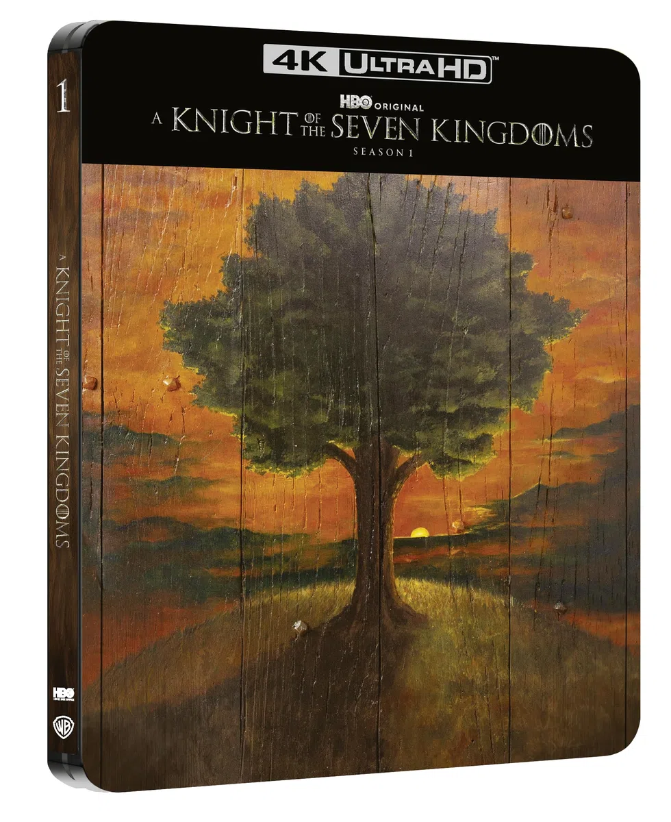 A Knight of the Seven Kingdoms - Saison 1